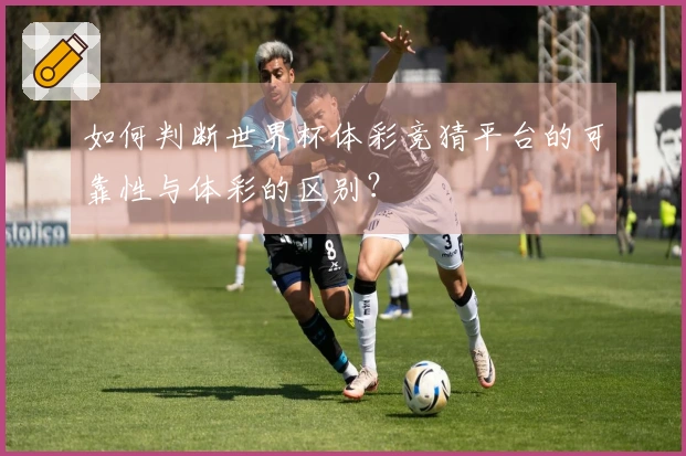 如何判断世界杯体彩竞猜平台的可靠性与体彩的区别？