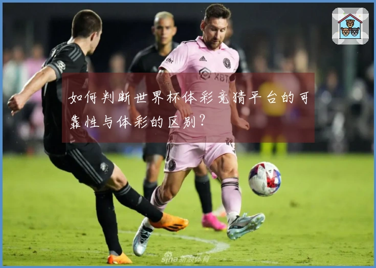 如何判断世界杯体彩竞猜平台的可靠性与体彩的区别？