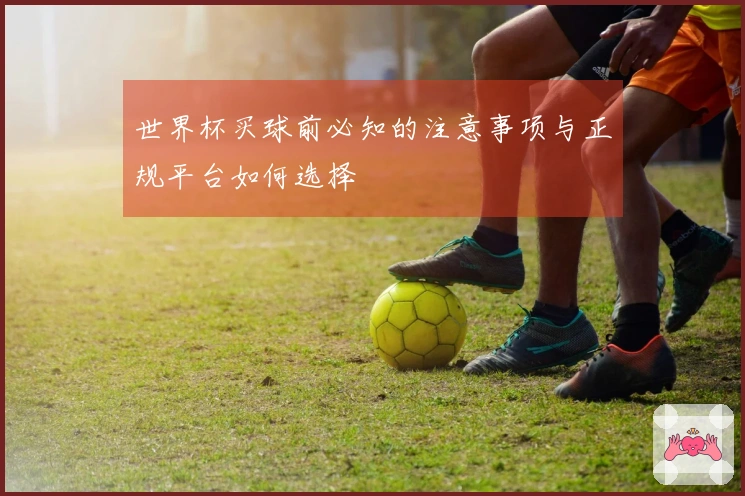 世界杯买球前必知的注意事项与正规平台如何选择
