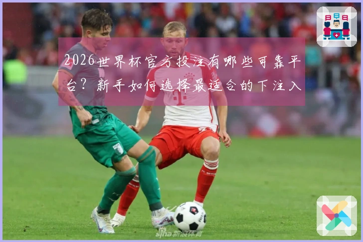 2026世界杯官方投注有哪些可靠平台？新手如何选择最适合的下注入口？